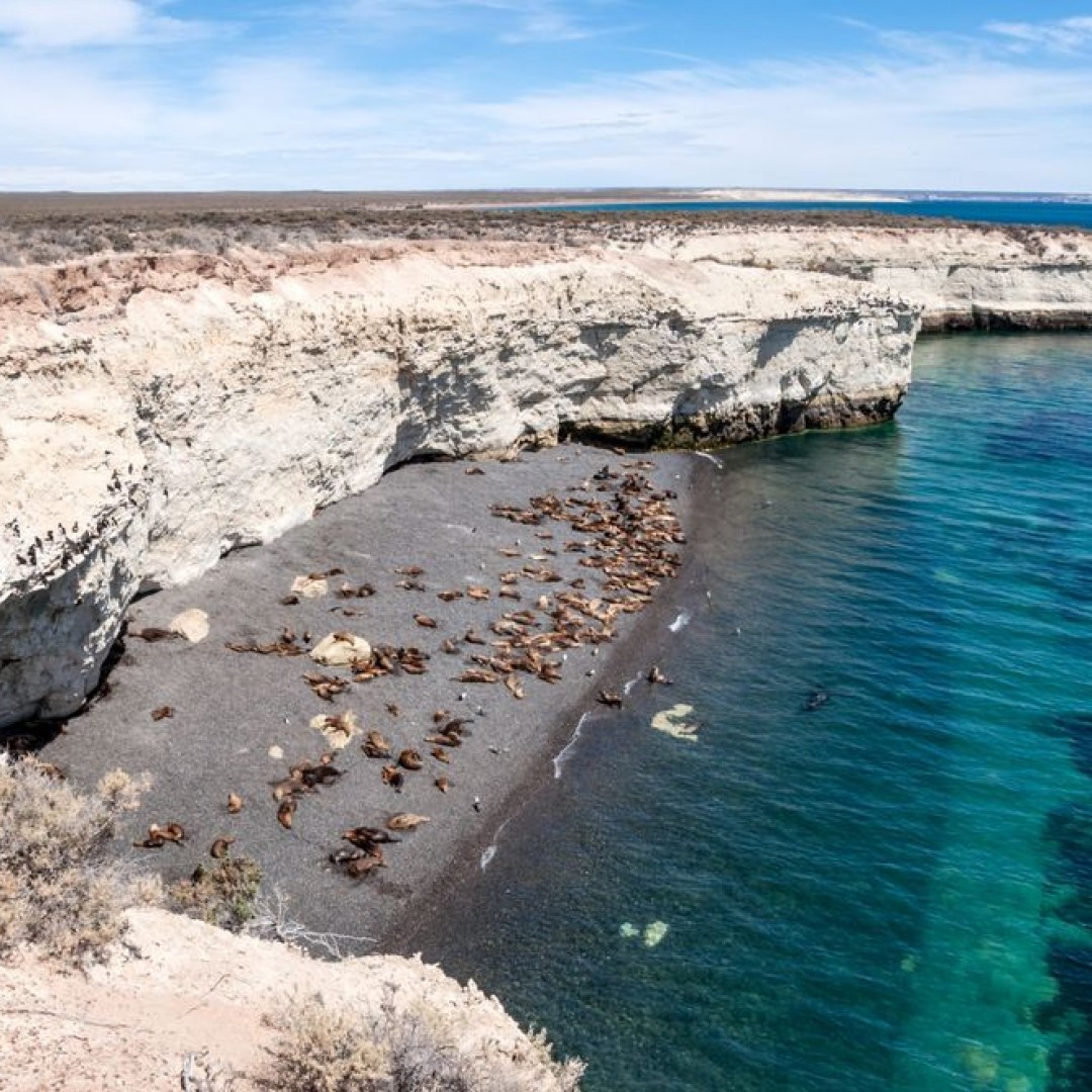 puerto-madryn-vacaciones--45