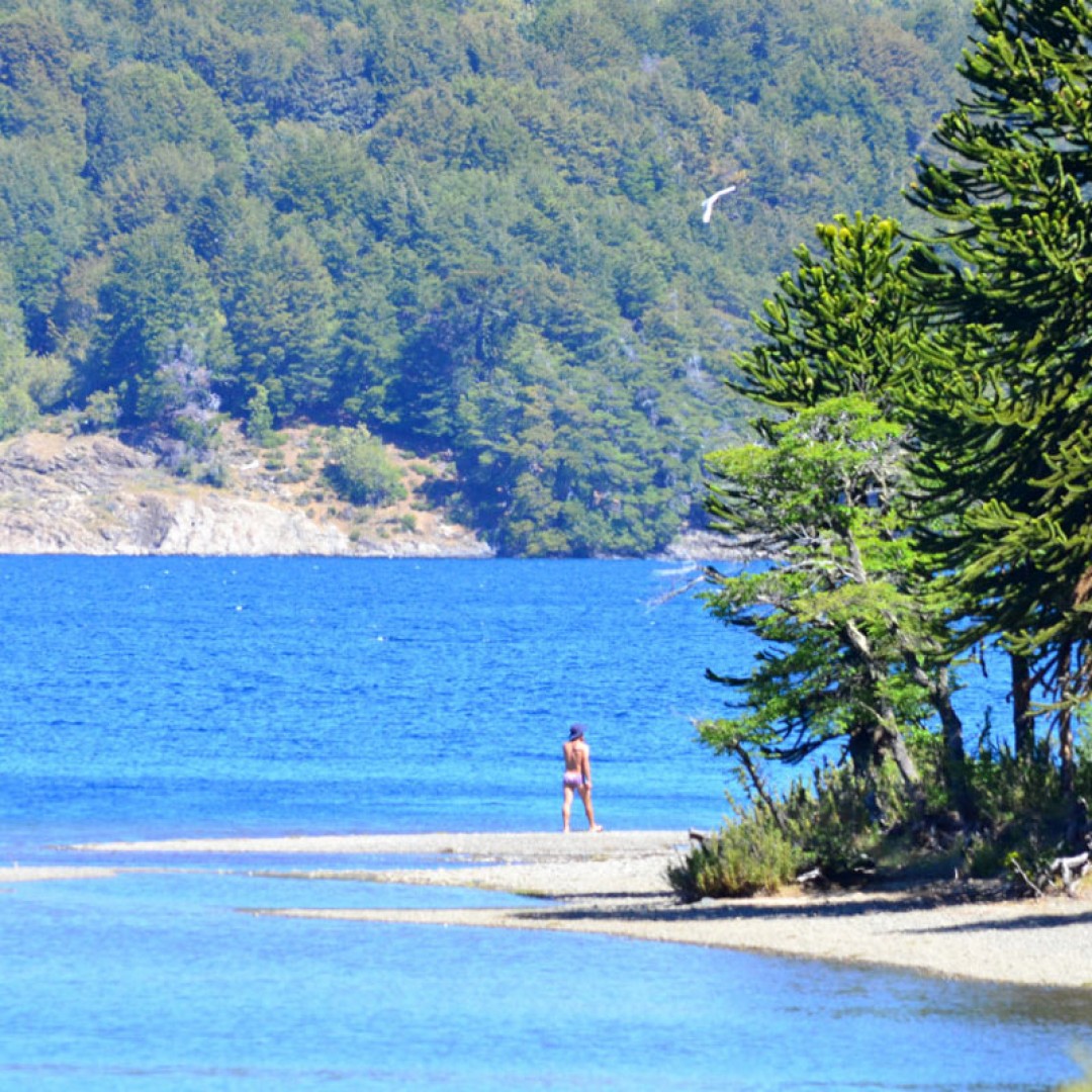 patagonia-alta-volcanes-y-lagos--villa-pehuenia--san-martin-de-los-andes-bariloche-59