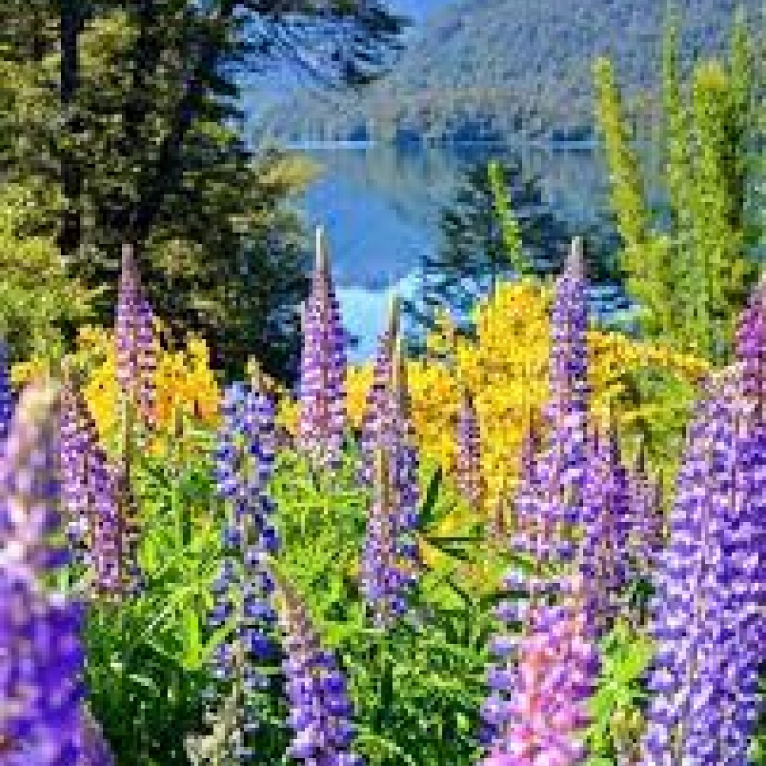 bariloche-esquel-un-paseo-entre-lagos-y-montanas-66